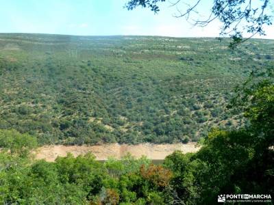 Monfragüe - Feria Queso Trujillo;cuevas del aguila cebreros rio alberche las tablas de daimiel isla